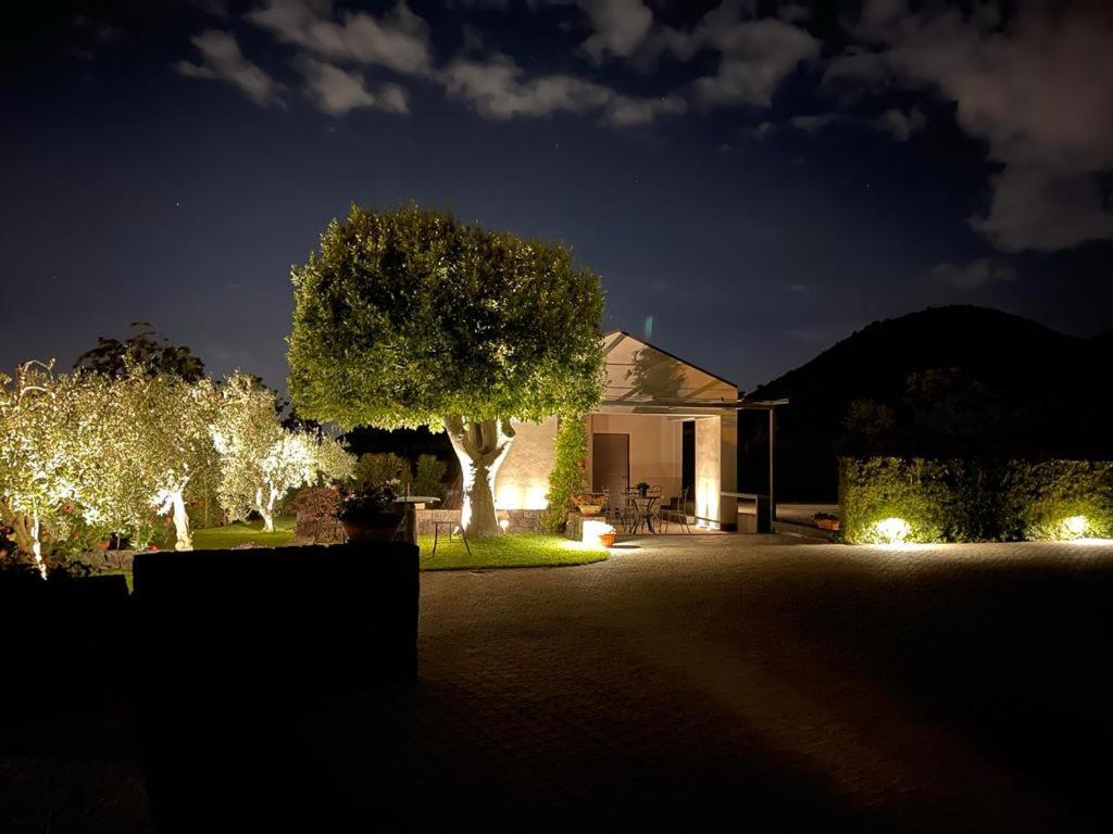 La Casa Dell'Alloro ซัฟเฟรานา เอตเนอา ภายนอก รูปภาพ