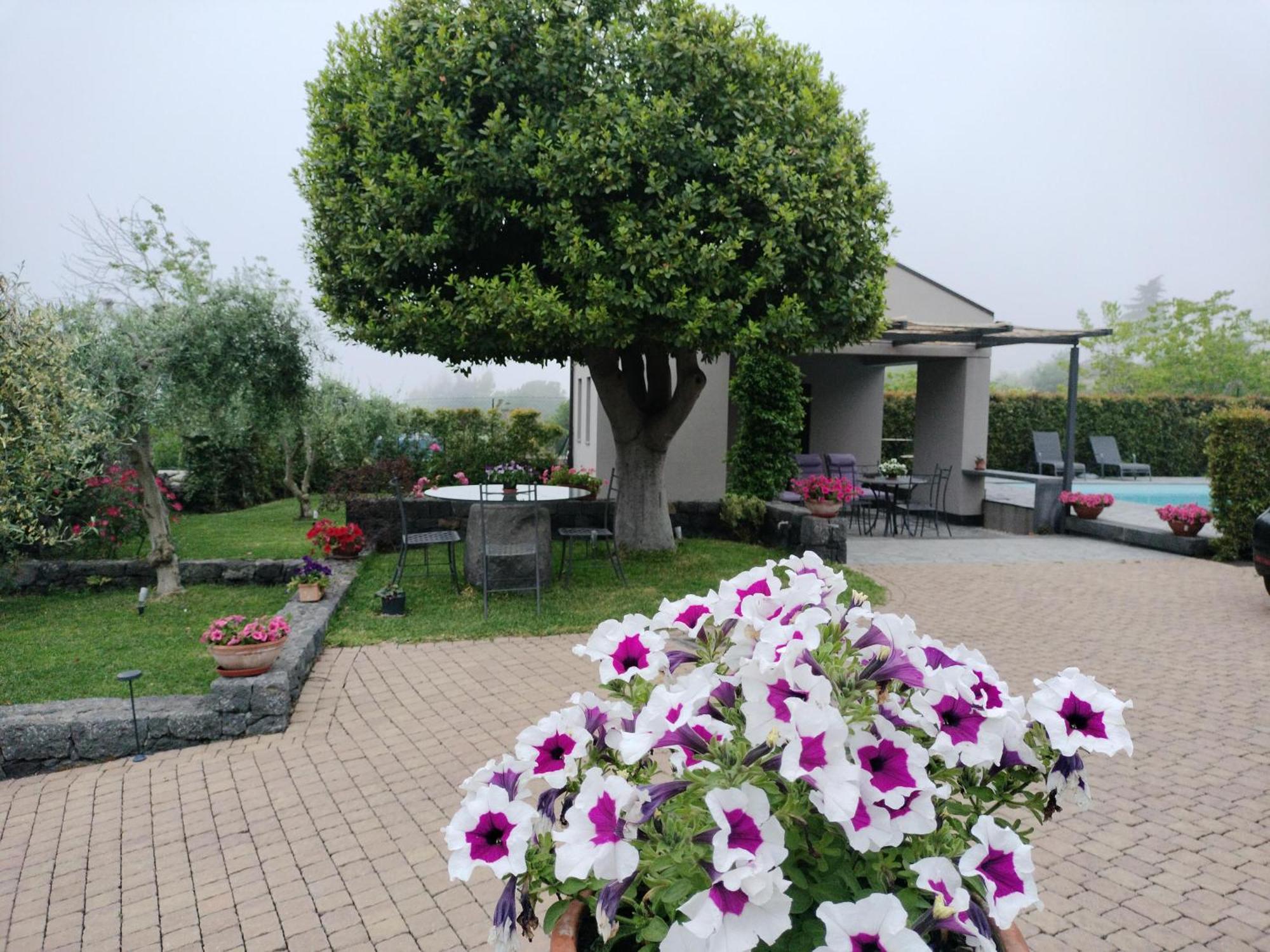 La Casa Dell'Alloro ซัฟเฟรานา เอตเนอา ภายนอก รูปภาพ